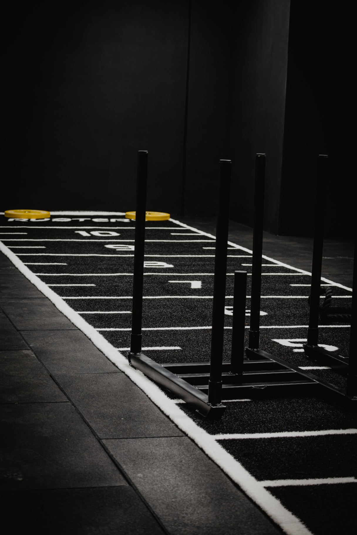 Box de CrossTraining Zenith — Pista y trineo