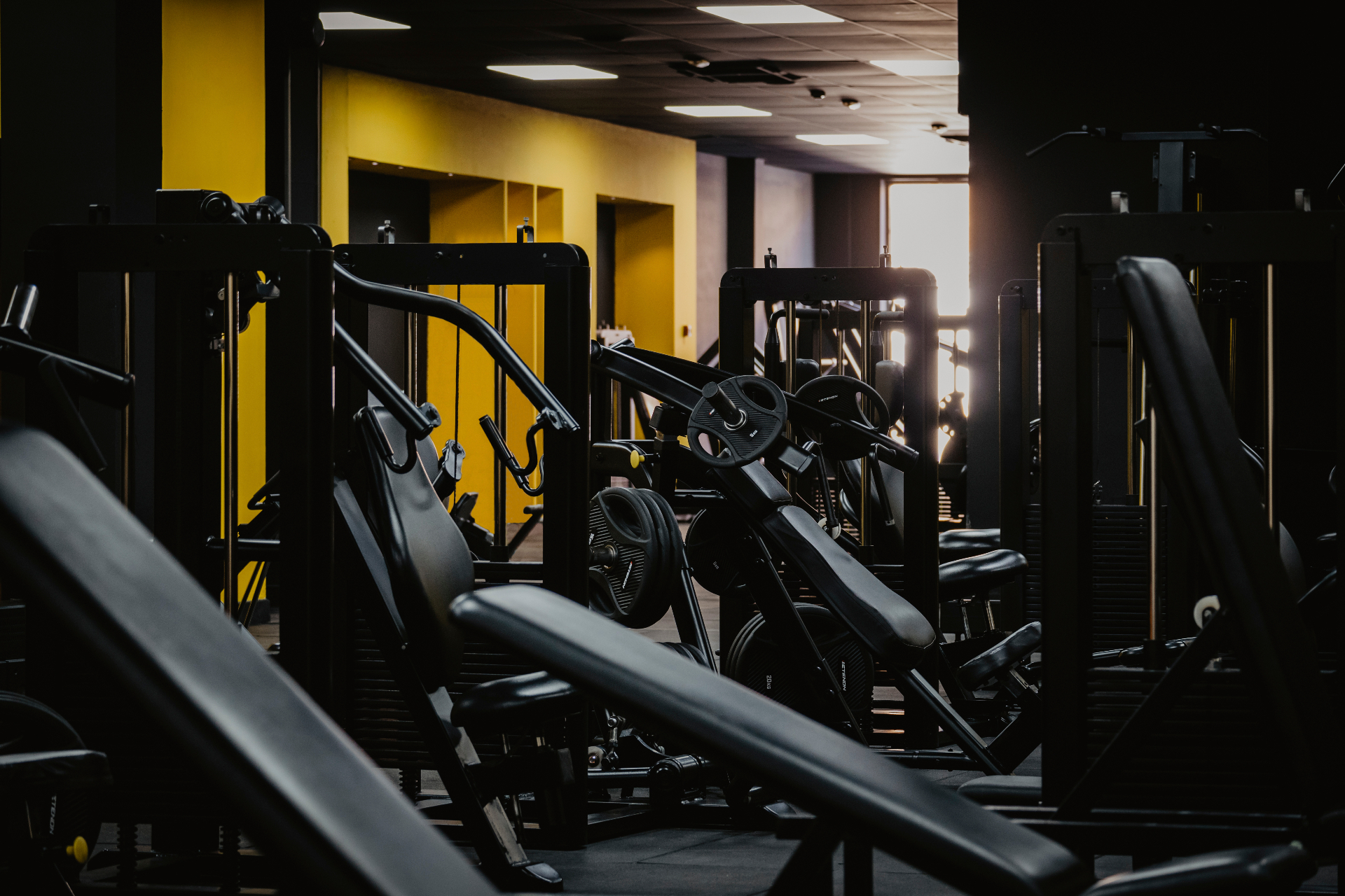Sala de musculación Zenith Training — Fuerza e hipertrofia