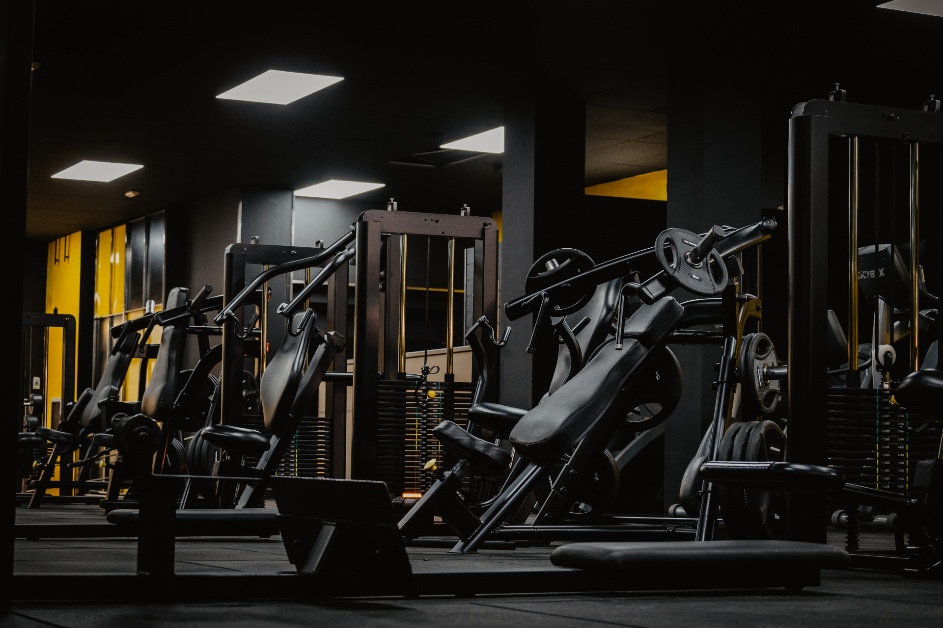Sala de musculación Zenith Training — Peso libre