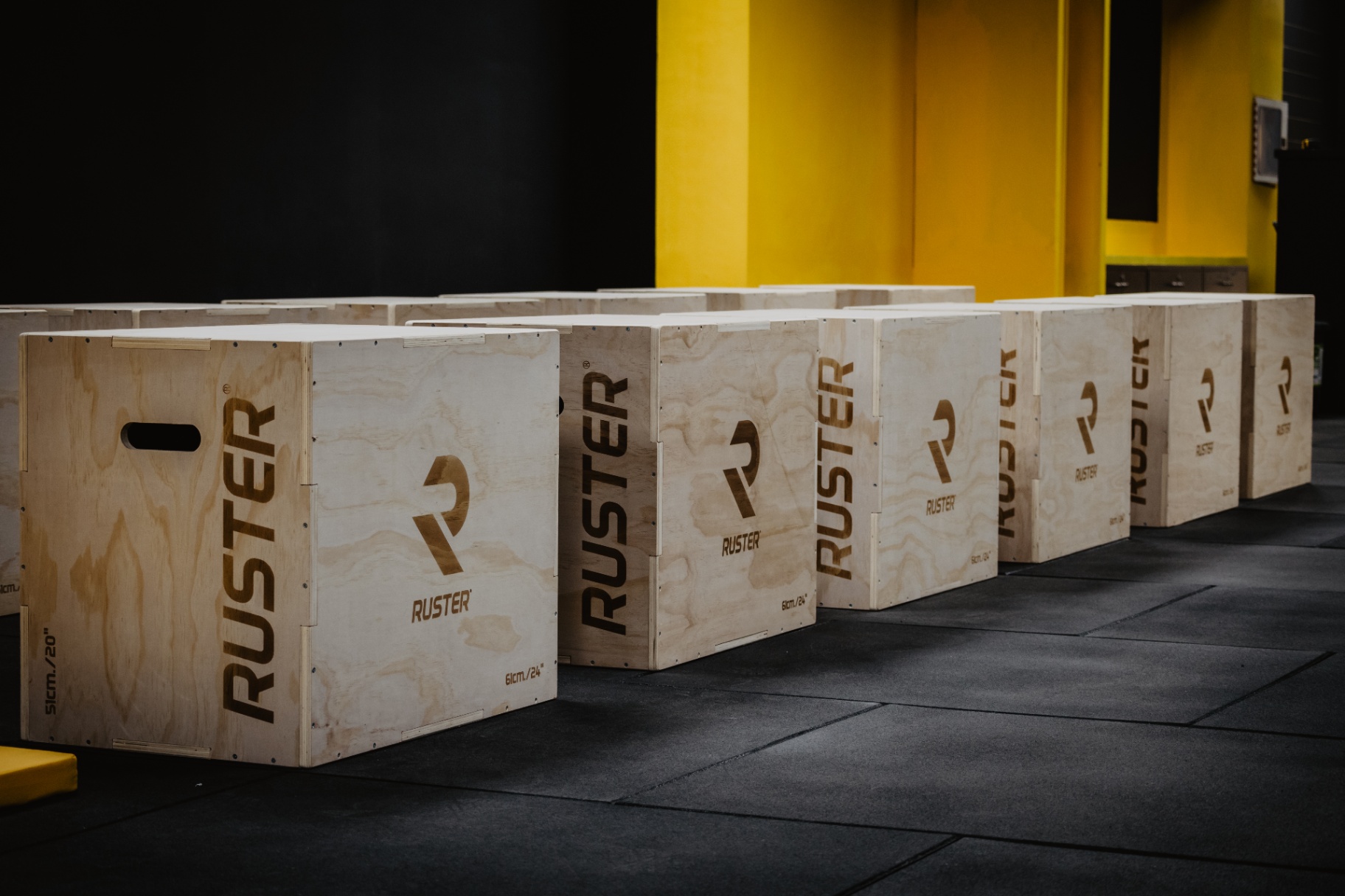 Box de CrossTraining Zenith — Cajones pliométricos