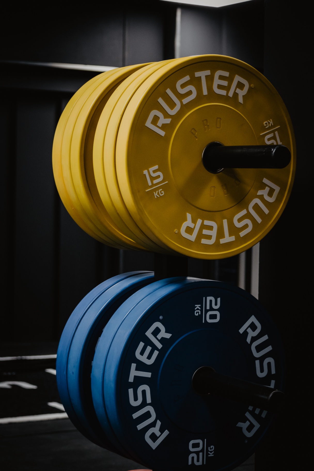 Box de CrossTraining Zenith — Bumpers de competición